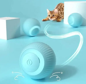 Automatic Smart Intelligent Moving Ball for Pets