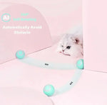 Automatic Smart Intelligent Moving Ball for Pets