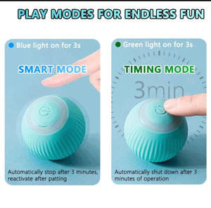 Automatic Smart Intelligent Moving Ball for Pets